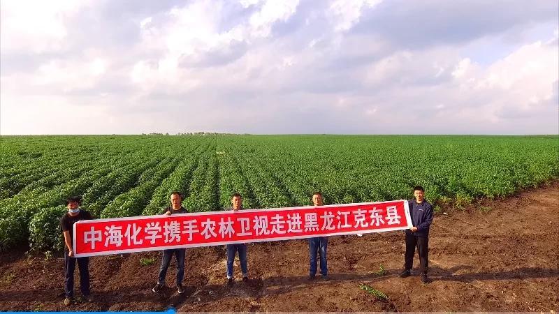 富岛 翔燕——中国化肥增值行动|走进黑龙江克东县—被信任的肥料