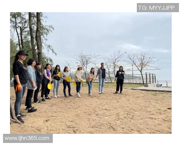 深圳飞盘队个人能力分析与团队协作的深度探讨